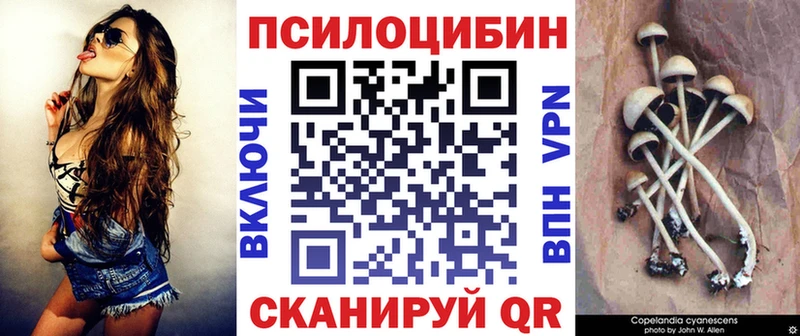 Псилоцибиновые грибы Psilocybine cubensis  Мышкин 